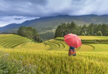 Jaka kasza nie powoduje wzdęć?