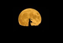 Czy warto jeść kasze?