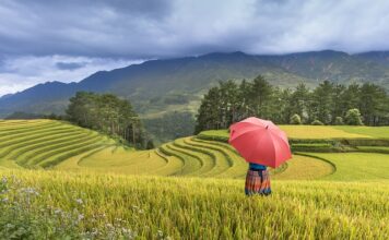 Jaka kasza ma najwięcej wartości odżywczych?