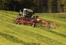 Co jeść na poprawę pracy jelit?