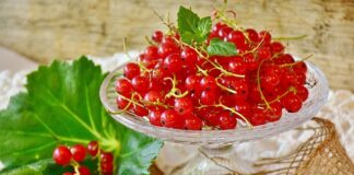 Ile żeberek na metr?